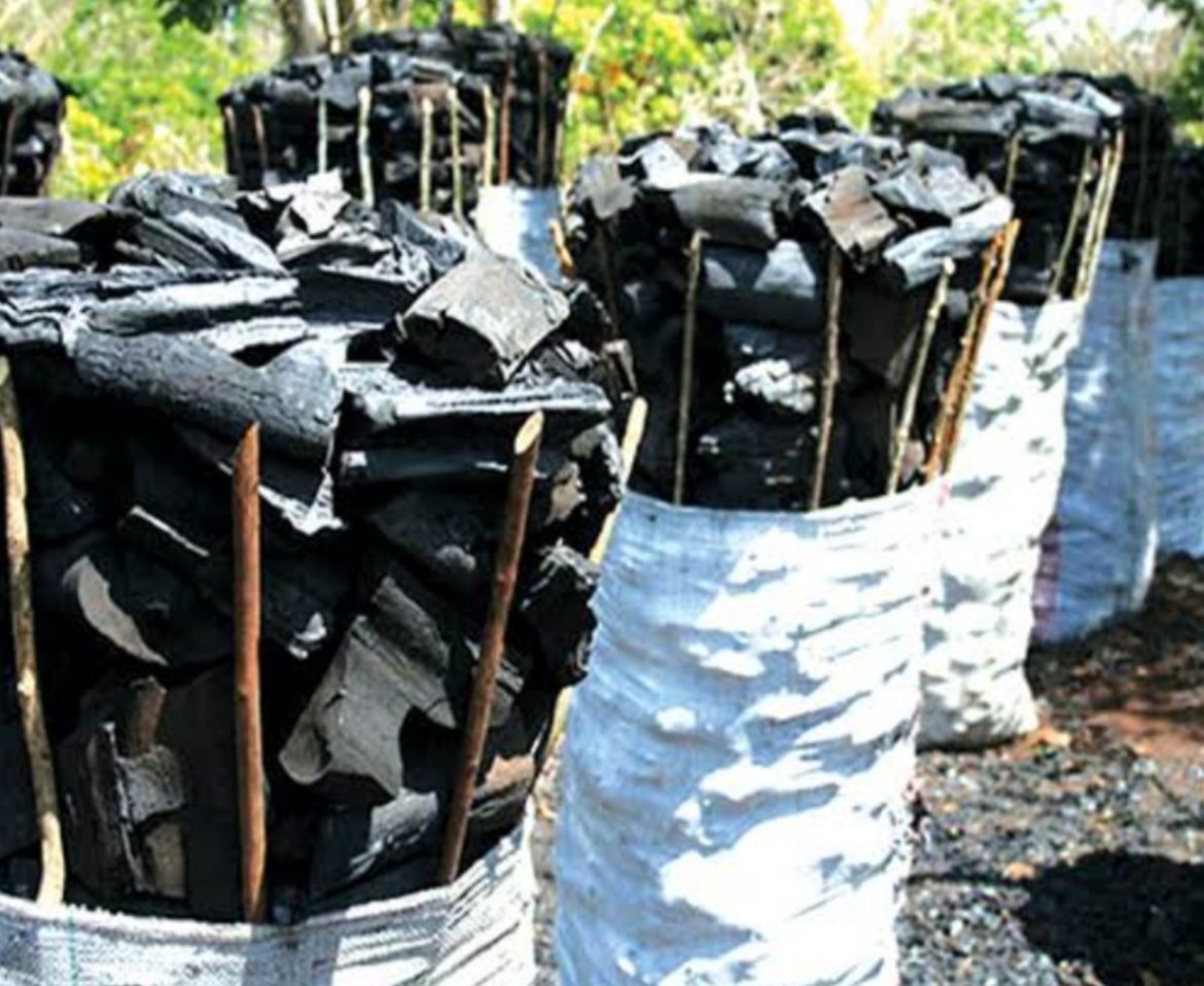 Charcoal industry key to lifting Nigerians out of poverty-Expert