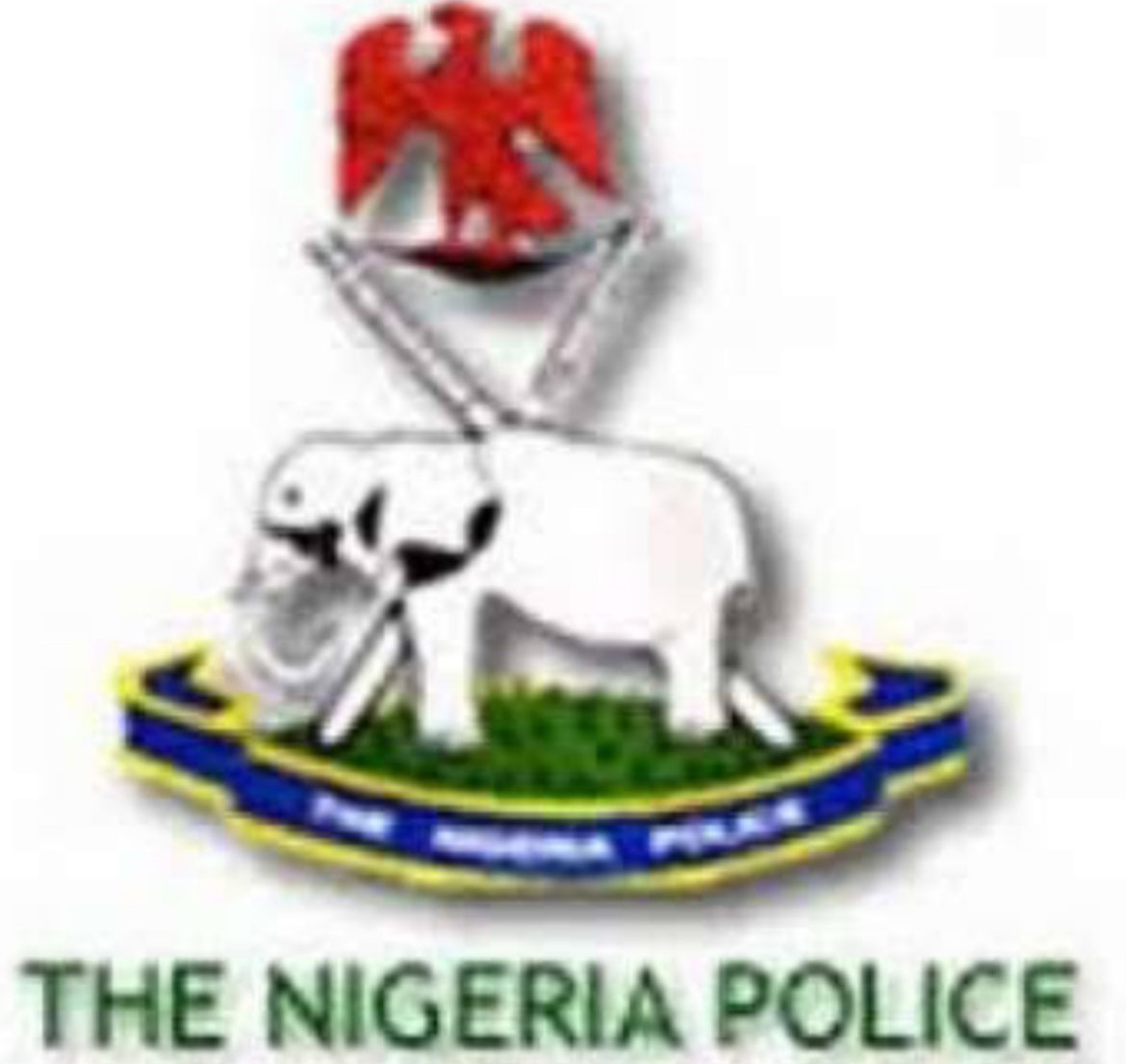Police nab 12 suspected armed robbers over death of Arise TV anchor