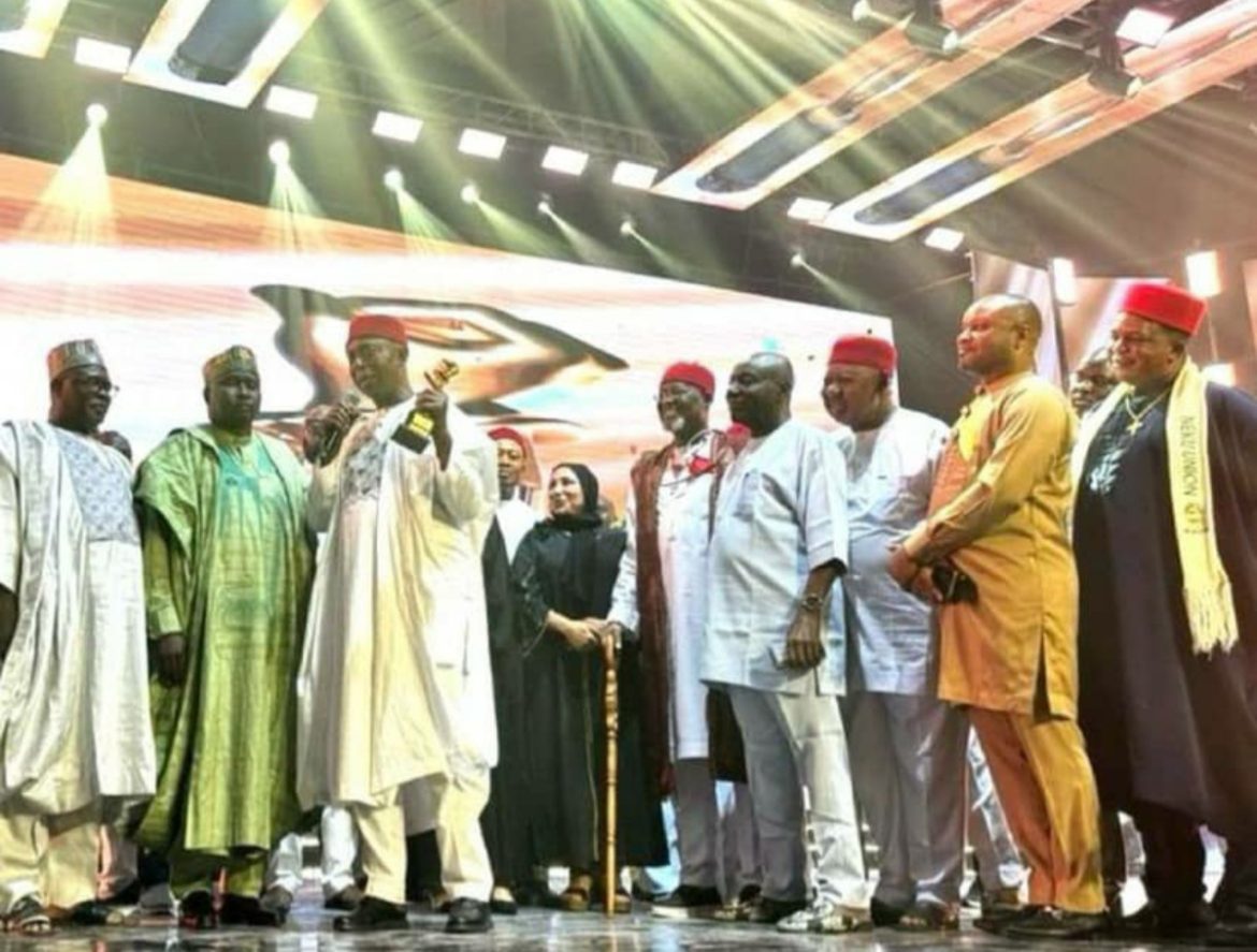 Nwoko bags democracy heroes best performing senator of the year 2025