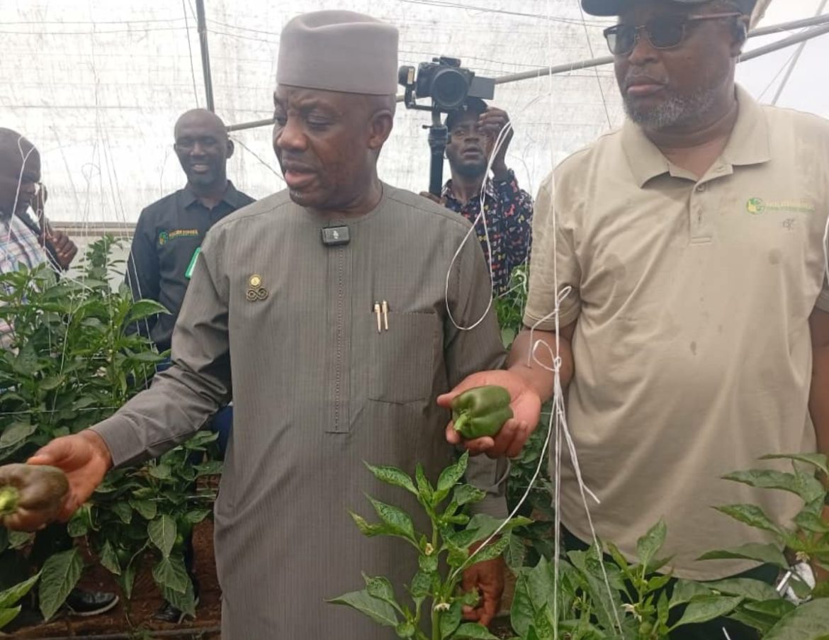FG trains 960,000 Nigerians in vocational skills
