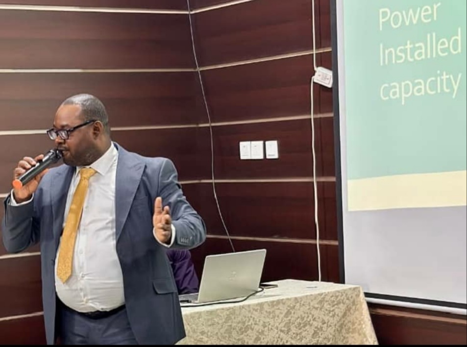 Dr. Chinedu Ogwus Calls for Urgent Reforms to Nigeria’s Energy Sector