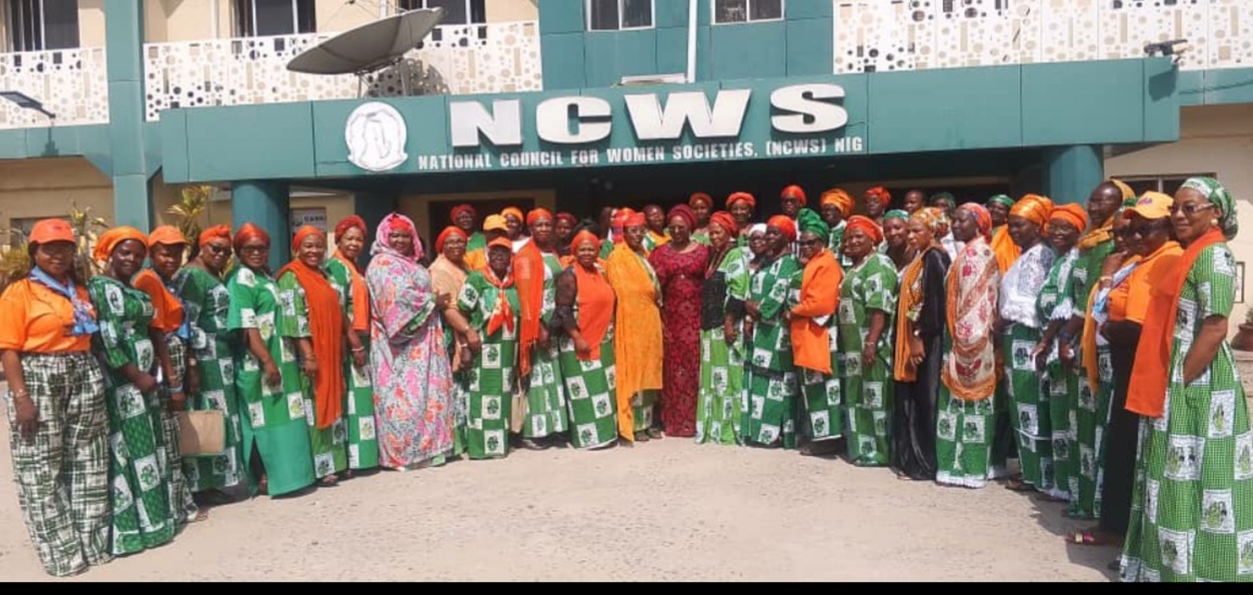 NCWS, SEC call for protection against digital GBV