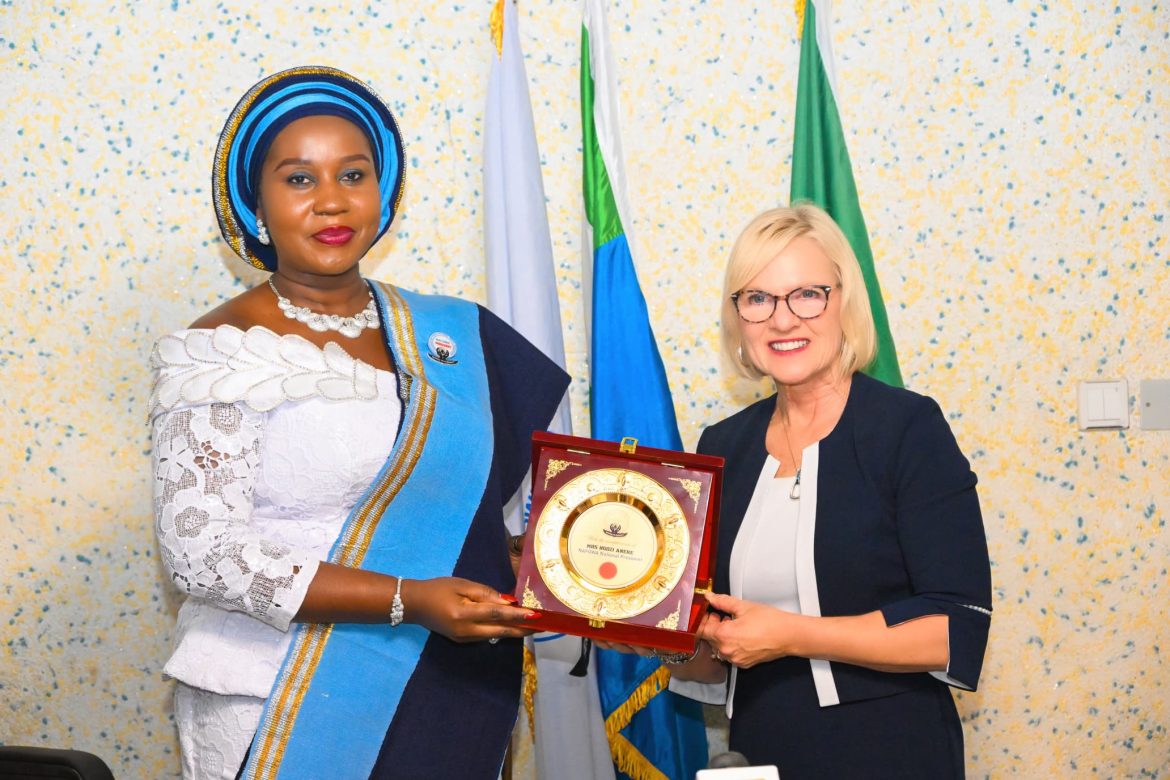 NAFOWA seeks global partnership to boost humanitarian support to military widows, children