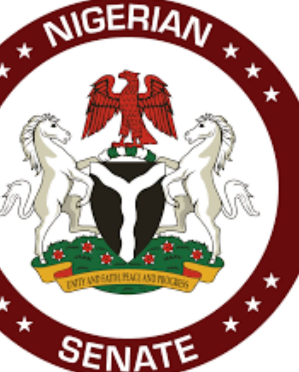 Kimpact Development Initiative raises concern over Senate’s rejection of e-transmission