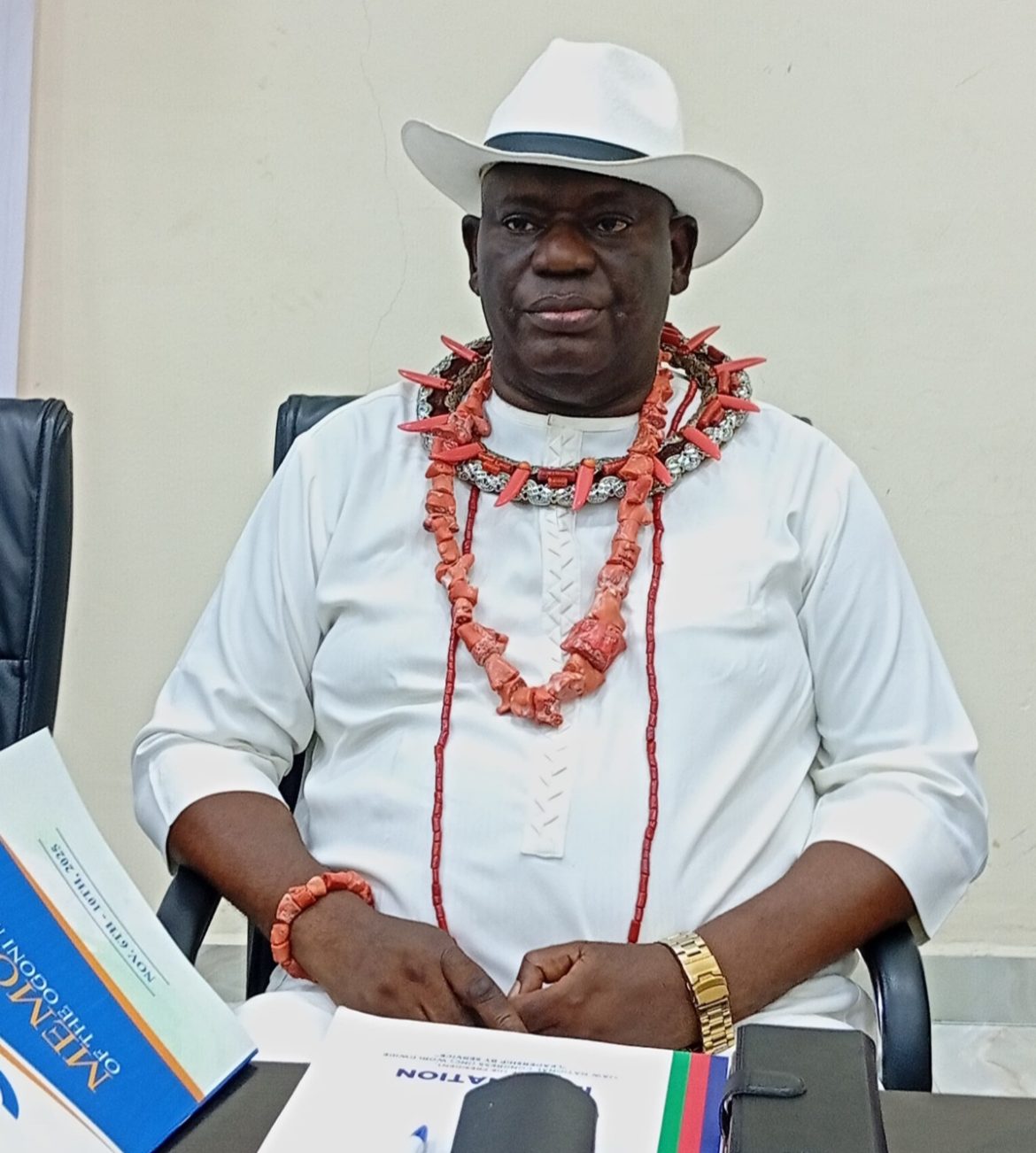 Electronic results transmission: Senate rejected accountability, says Okaba