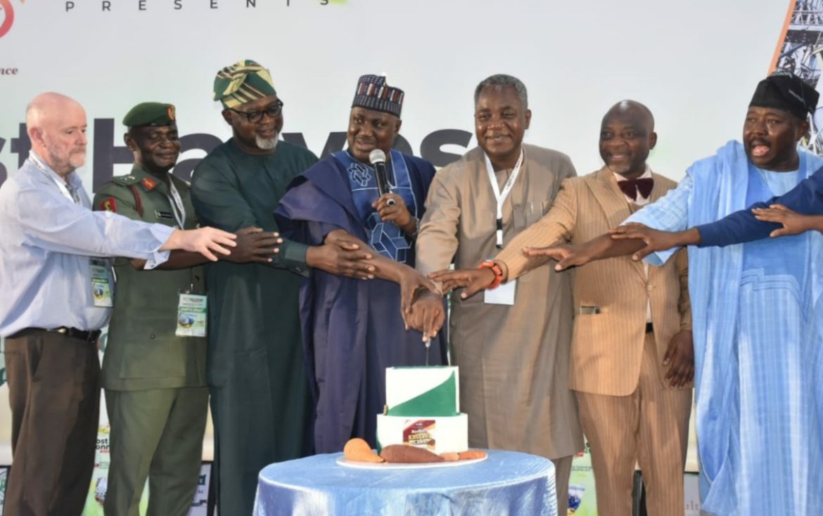 Nigeria largest global producer of root, tuber crops – FG