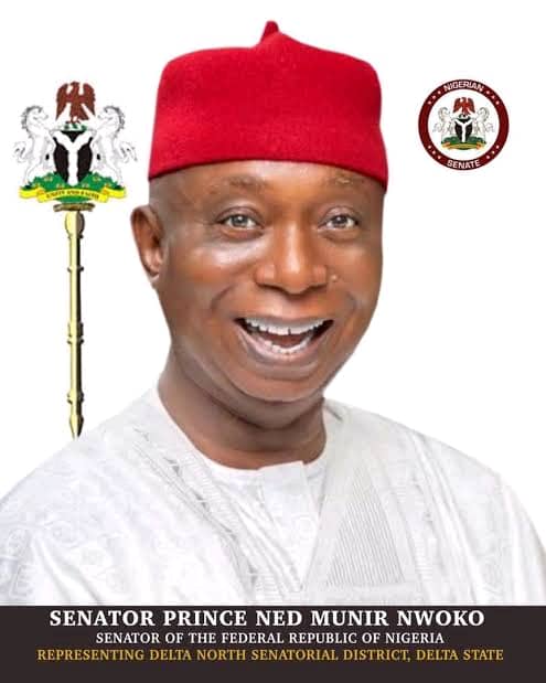 Women are enduring force behind societal growth – Nwoko