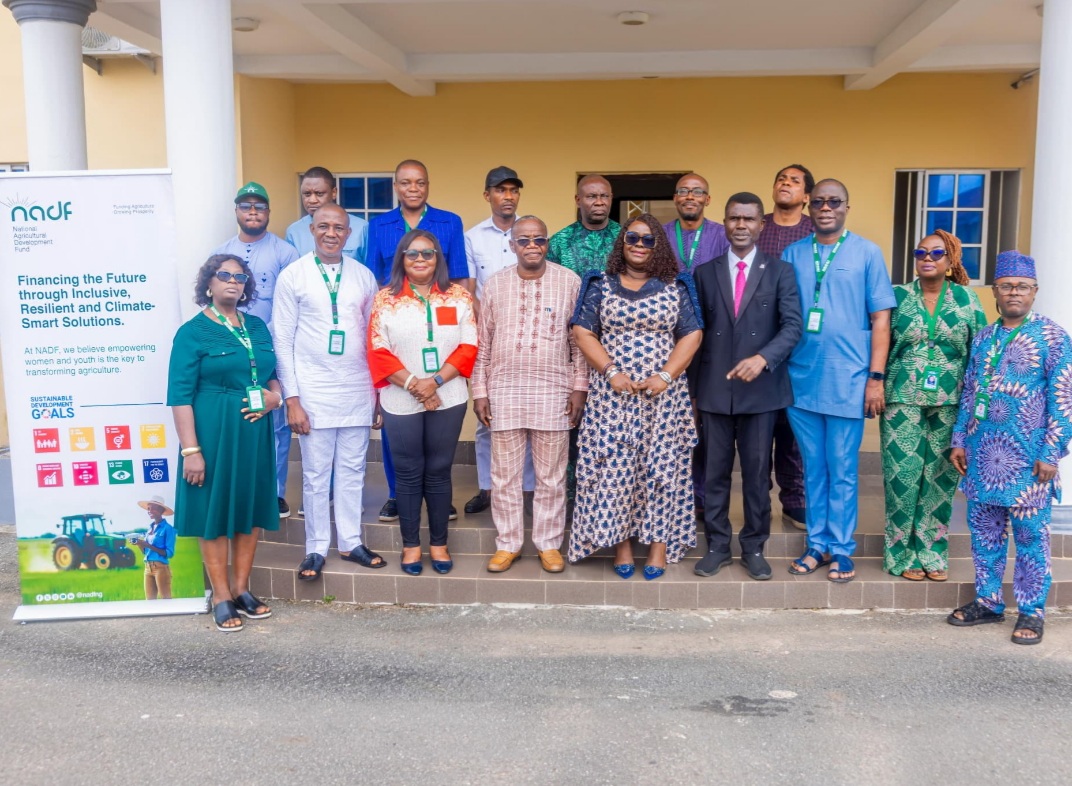 NADF, institute unveil ginger sustainability programme