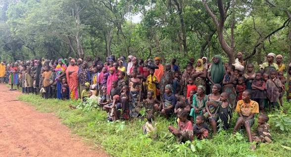 Troops rescue 308 kidnap victims after six-month operation in Kwara, Niger forests