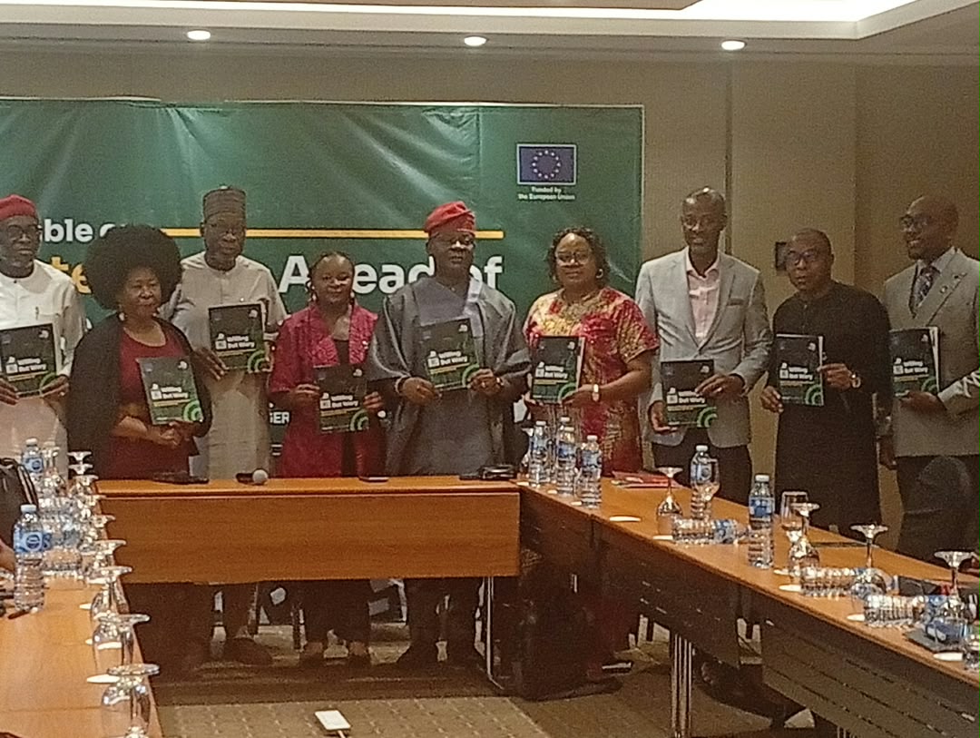 Over 84% Nigerians willing to vote during 2027 elections – Yiaga